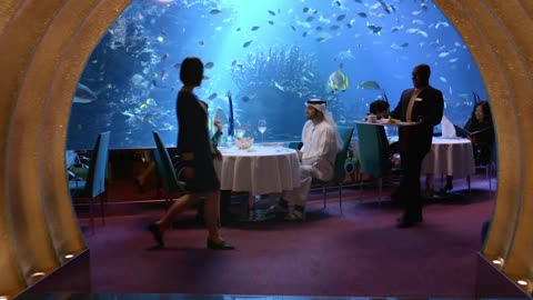 Burj Al Arab Jumeirah - Al Mahara Restaurant Introduction