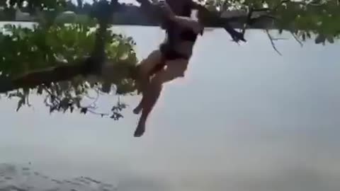 funny caught in a tree