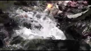 Water Relaxation (Mindfulness)(nature vedio)