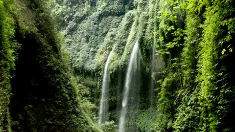 Waterfalls Cascading Through Vine Plants Covering The Cliffs