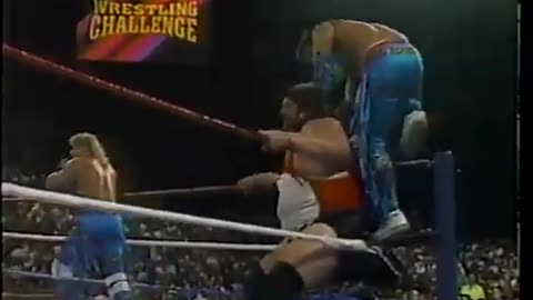 WWF Wrestling Challenge - Nov 03 1991 INCOMPLETE