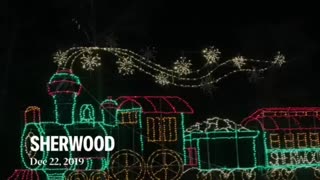 Sherwood Forest Christmas lights