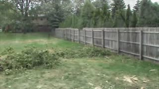 Fallen Tree Breaks a Fence