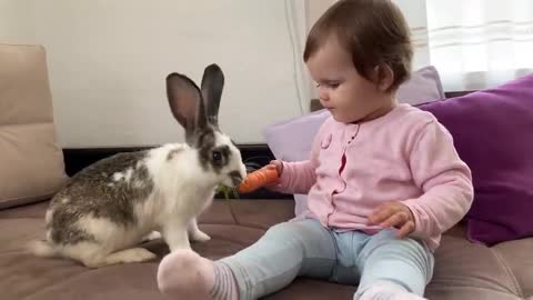 Baby_Feeding_Rabbit_a_Carrot