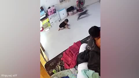 The animal is playing very nicely with the baby