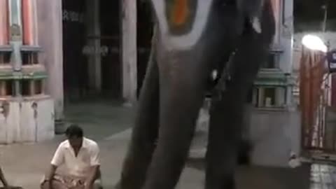 Oppiliappan temble elephant dancing video