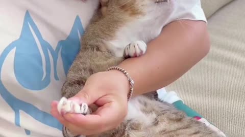Cat's nails are a sneaky thing to cut