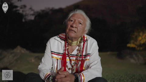 Native American Insights on Healing By Vernon Foster