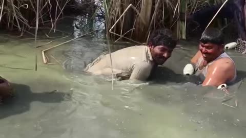 Fishing in a pond... Amazing technique with bare hand...