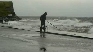 Dog Enjoys the Waves Breaking