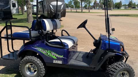 Golf Cart Graphics and Wraps #7