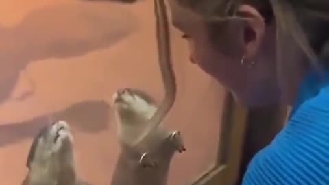 Zoo has hole, so you can hold otters paws