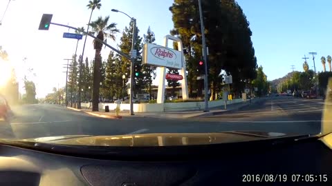 Dog jumps out of moving car on my way to work