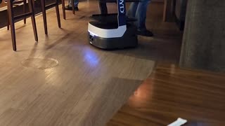 ROBOTIC RESTAURANT HELP