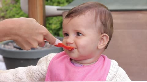 Squeeze Station Baby Food Maker Homemade Baby Food.