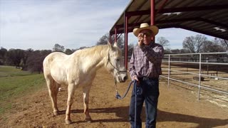 Backing out of the horse trailer