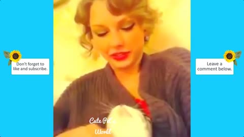 TAYLOR SWIFT'S CATS CELEBRITY PETS #2