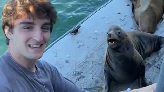 Lining Up a Photo Op with Sea Lion