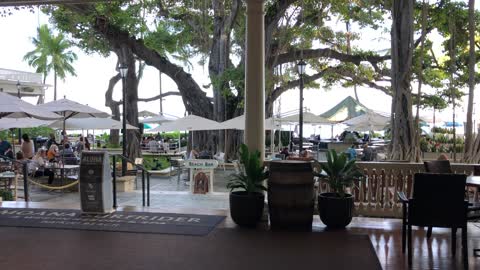 Old-Hawaiian style lobby and banyan tree, Moana Hotel, Waikiki