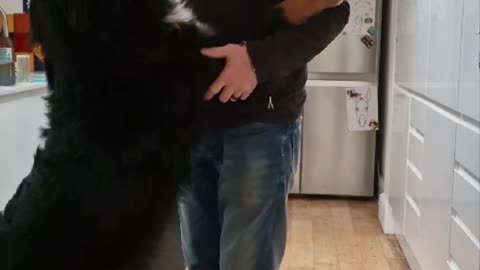 Tiny dog wants a hug too
