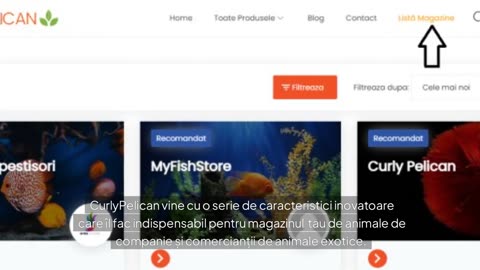 CurlyPelican: Platforma Ideală pentru Vânzătorii de Produse Petshop