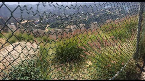 HIKE TO THE HOLLYWOOD SIGN