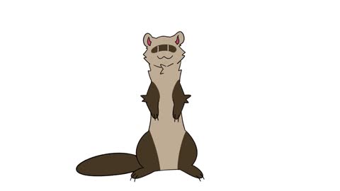 Dancing ferret animation //meme// thank you 70k+