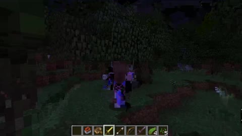 Minecraft 1.17.1_ Modded_Shorts_Outting_65