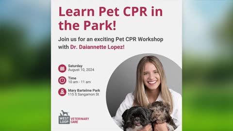 Pet Health and CPR Tips with Dr. Daiannette Lopez of West Loop Veterinary Clinic