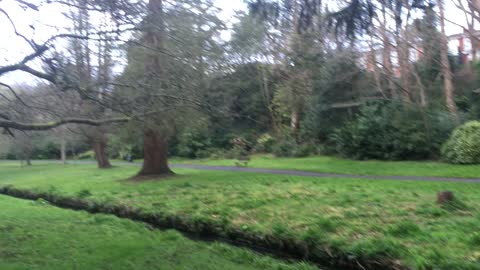 Beautiful view of Bournemouth's central gardens