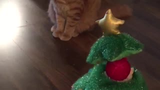 Cat scared of singing Christmas Tree