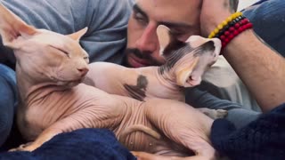 Zherka Vibing With Sphynx Cats