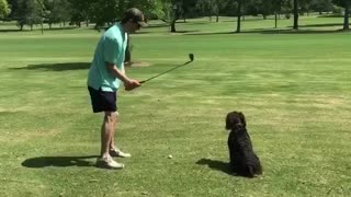 Golf Ball Retriever