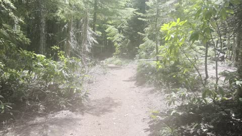 Finishing the 13-Mile Shoreline Loop of Timothy Lake – Mount Hood – Oregon – 4K