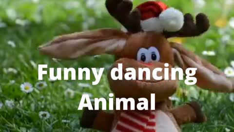 Funny Animal Dancing to the Nice Music Tune