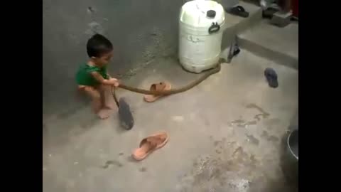 Kid Playing With Snake