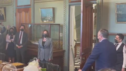 Kamala Yells "Surprise!" At Her Own Surprise Birthday Party