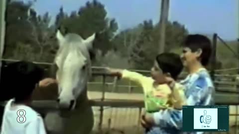 Horse vs man, Compilation