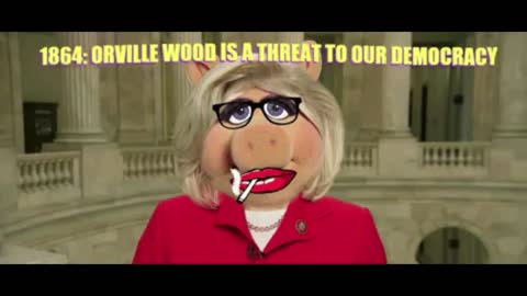 Liz Cheney Concession Speech "Orville Wood is a Threat to Democracy"