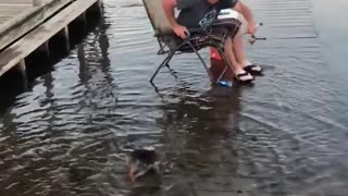 Duke the Yorkie Helping Dad Fish