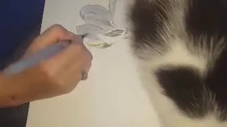 sweet kittens set on painting During the drawing