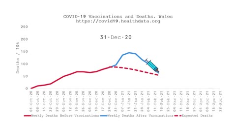 Impact of COVID Vaccinations on Mortality