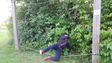 Two rope tightrope fail