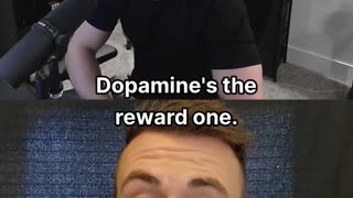 Is dopamine the shadow of happiness