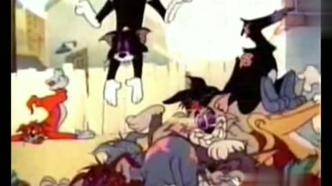 Tom and jerry cartoon