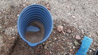 Las Vegas, NV, Gold prospecting, Desert Exploring 2022-08-27 part 12 of 13