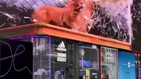 Lion jumps out of the 3D billboard in China 😲