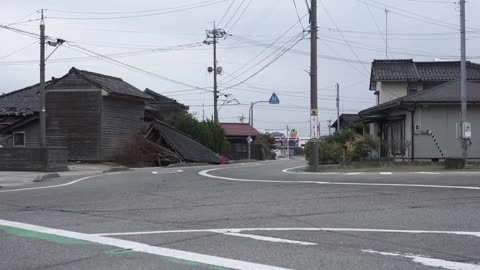 Japan quake survivor finds pet-friendly shelter