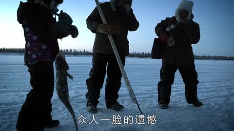 Episode d134: Fishing for Tiktaalik in winter #Life below zero#Documentary