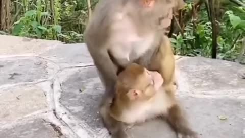 Babies who disturb the intimacy of their parents